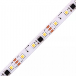 SMD5050 WS2811 Bicolor CCT 2700-6500K 60LEDs/m addressable led strip