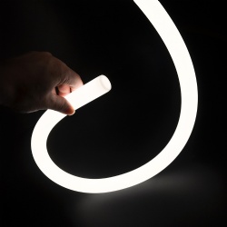D25Round Neon Strip